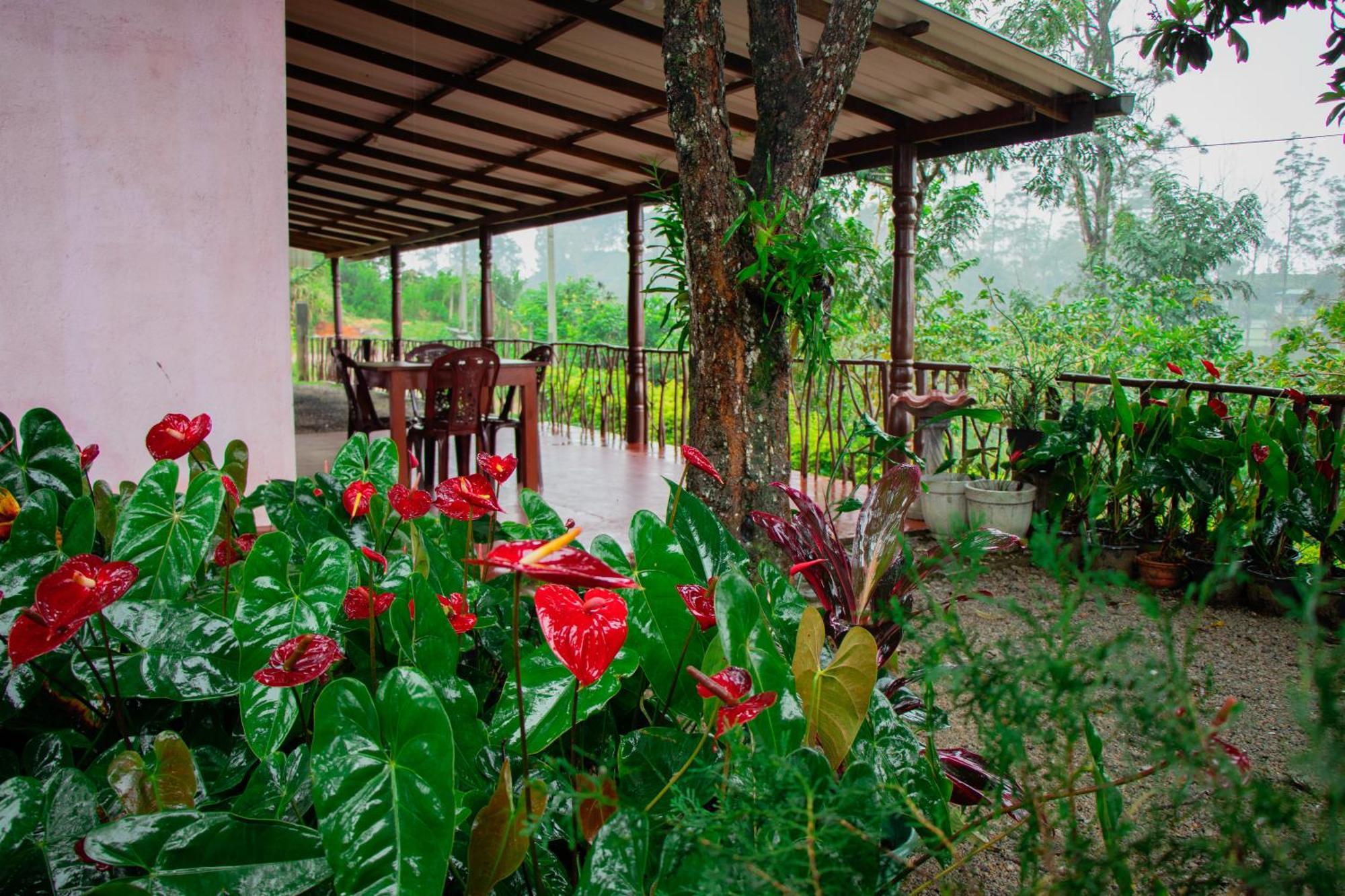 Nine Arch Homestay 埃拉 外观 照片