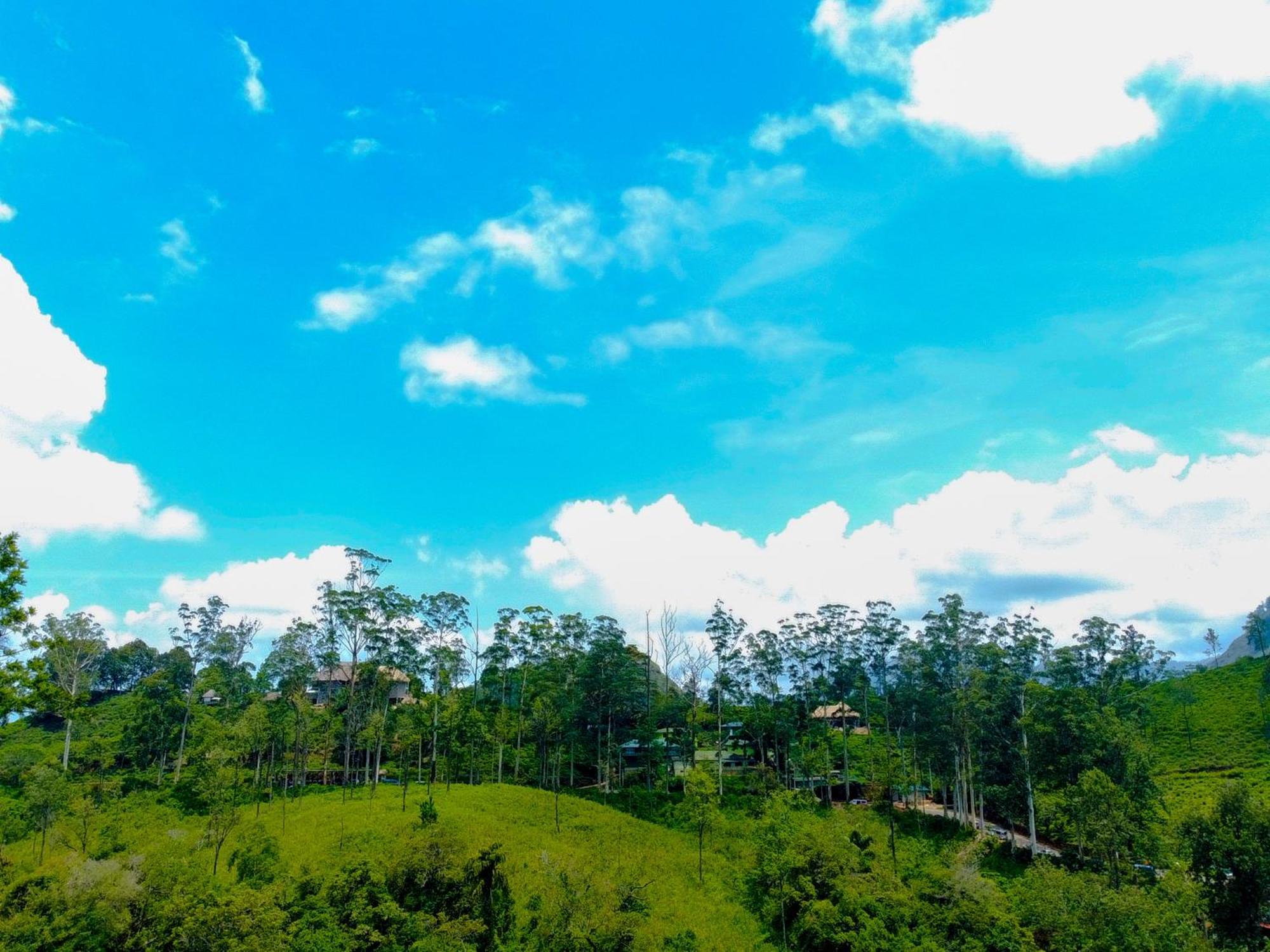 Nine Arch Homestay 埃拉 外观 照片